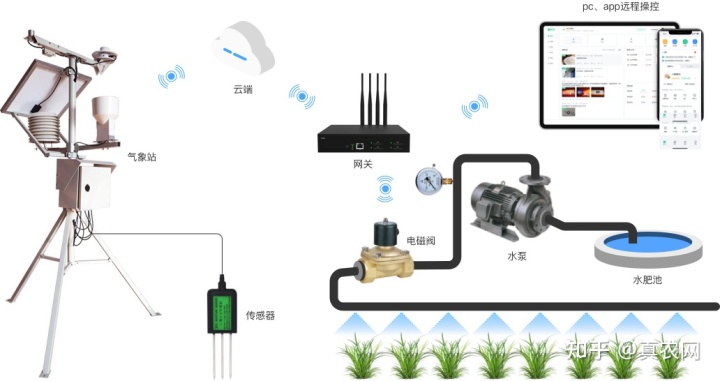 富硒水果种植价格(水果种植价格富硒多少)-硒宝网