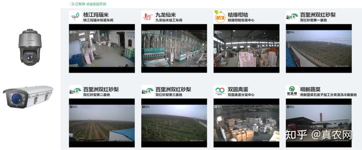 富硒水果种植价格(水果种植价格富硒多少)-硒宝网