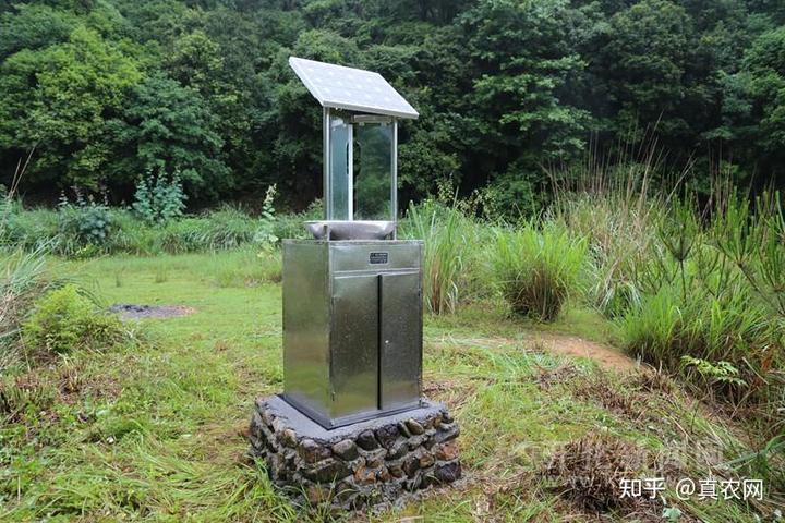 富硒水果种植价格(水果种植价格富硒多少)-硒宝网