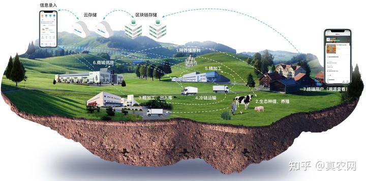 富硒水果种植价格(水果种植价格富硒多少)-硒宝网