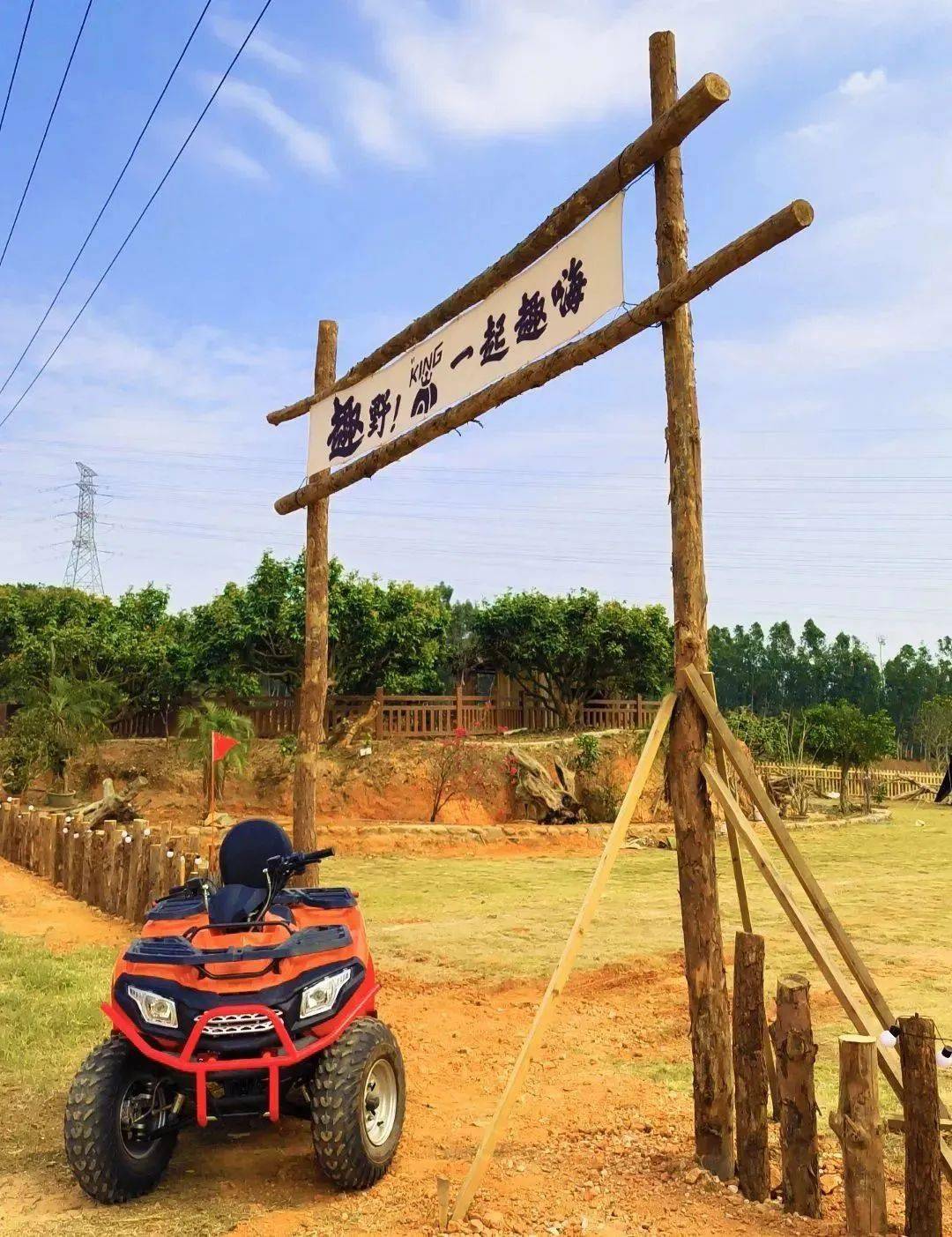 富硒水果采摘活动（水果采摘节活动方案）-硒宝网