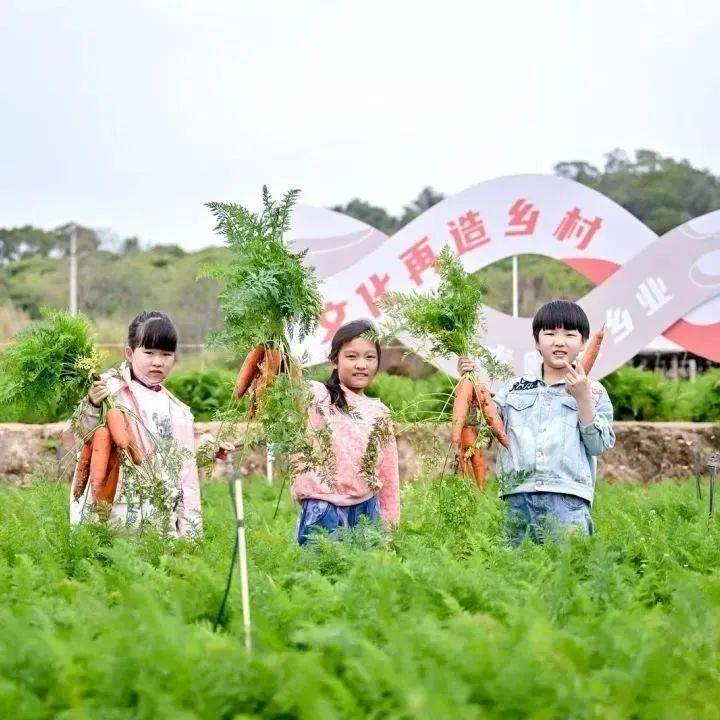 富硒水果采摘活动（水果采摘节活动方案）-硒宝网