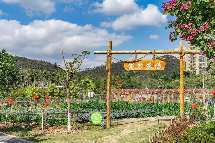 富硒水果采摘活动（水果采摘节活动方案）-硒宝网