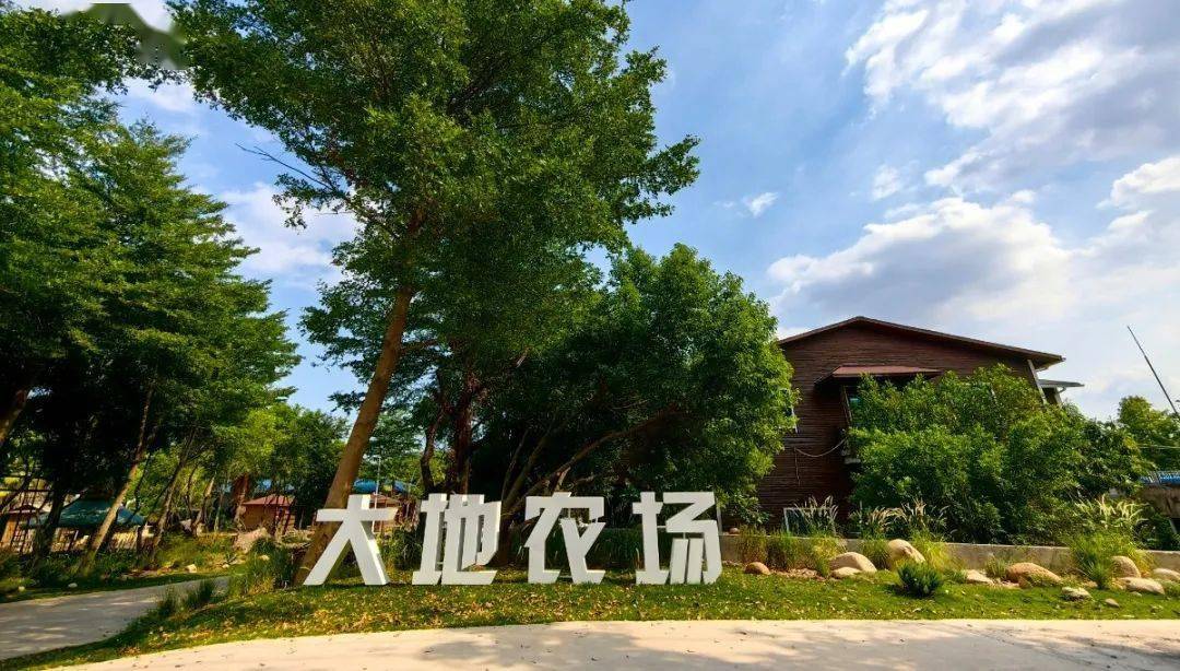 富硒水果采摘活动（水果采摘节活动方案）-硒宝网