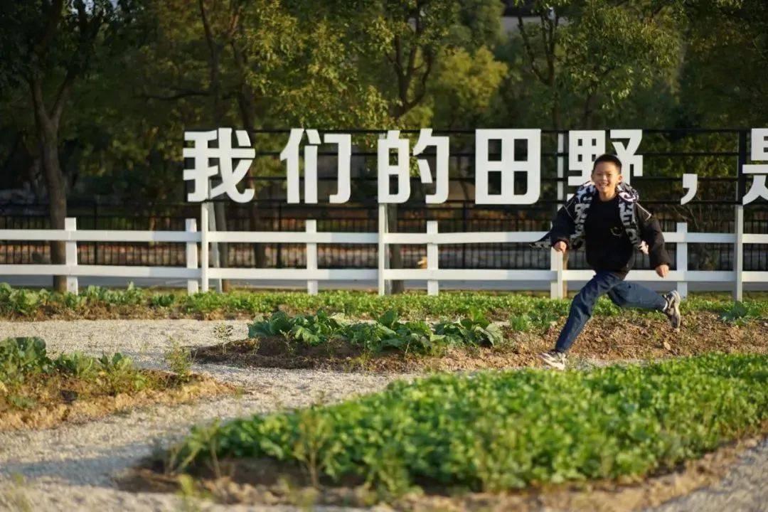 富硒水果采摘活动（水果采摘节活动方案）-硒宝网