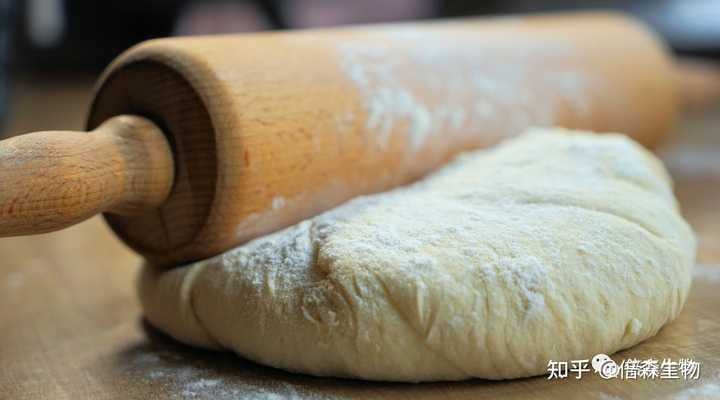 富硒水果酵母功效(酵母硒有什么功效)-硒宝网