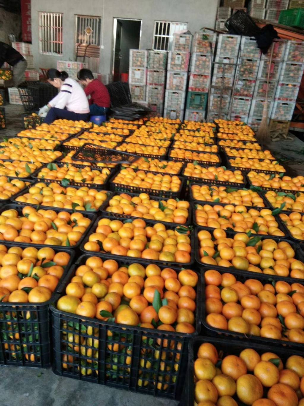 达州富硒水果种植(富硒水果标准)-硒宝网