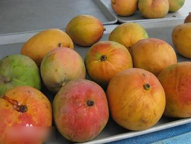 富硒最贵水果排名(水果贵的有哪些)-硒宝网