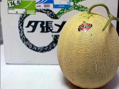 富硒最贵水果排名(水果贵的有哪些)-硒宝网