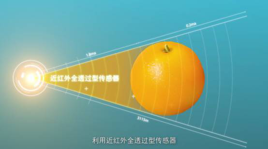 富硒水果标准体系(水果硒含量检测参考值)-硒宝网