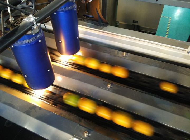 富硒水果标准体系(水果硒含量检测参考值)-硒宝网