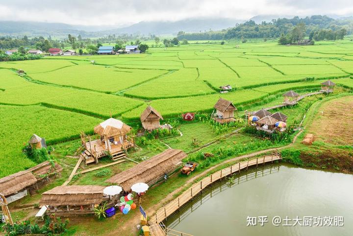 富硒水果上什么肥（富硒水果一览表）-硒宝网