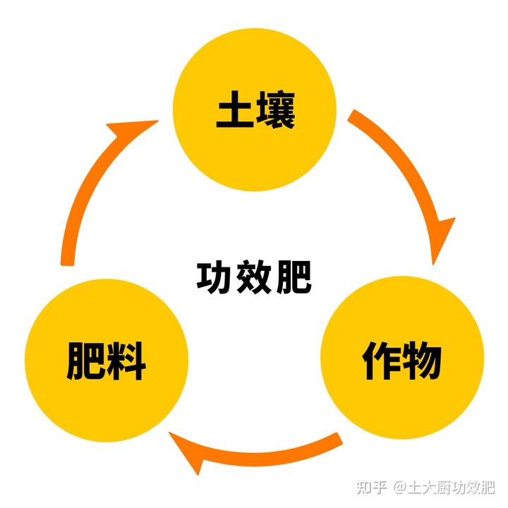 富硒水果上什么肥（富硒水果一览表）-硒宝网