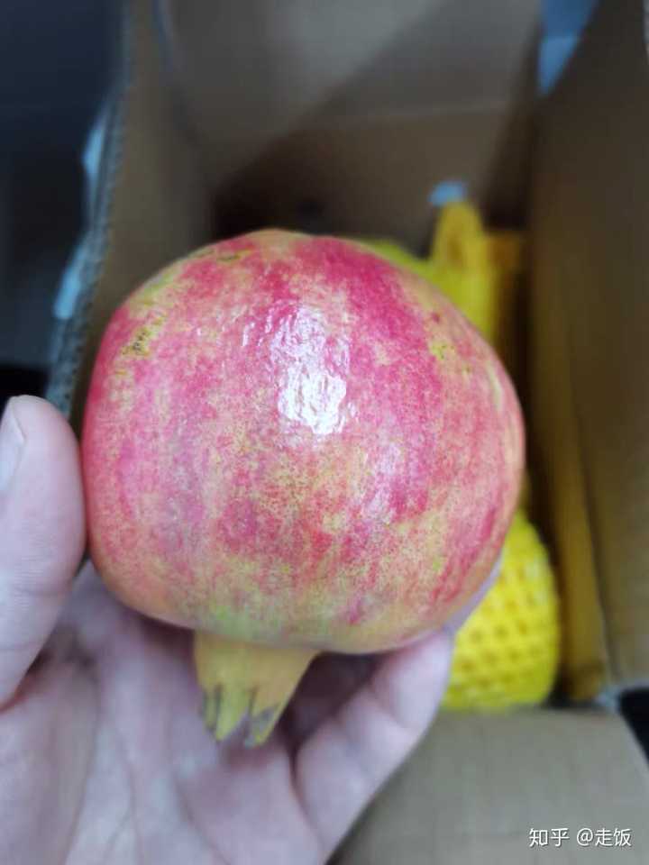 啥水果是富硒果子（富硒水果的好处）-硒宝网