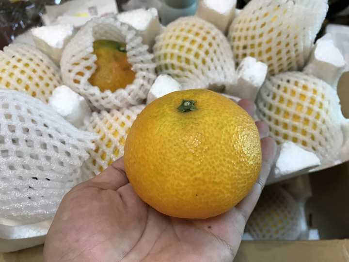 啥水果是富硒果子（富硒水果的好处）-硒宝网