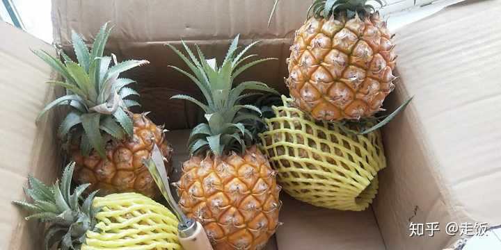 啥水果是富硒果子（富硒水果的好处）-硒宝网