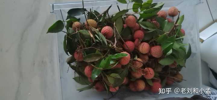 芒果是富硒水果吗(芒果水果富硒是什么东西)-硒宝网