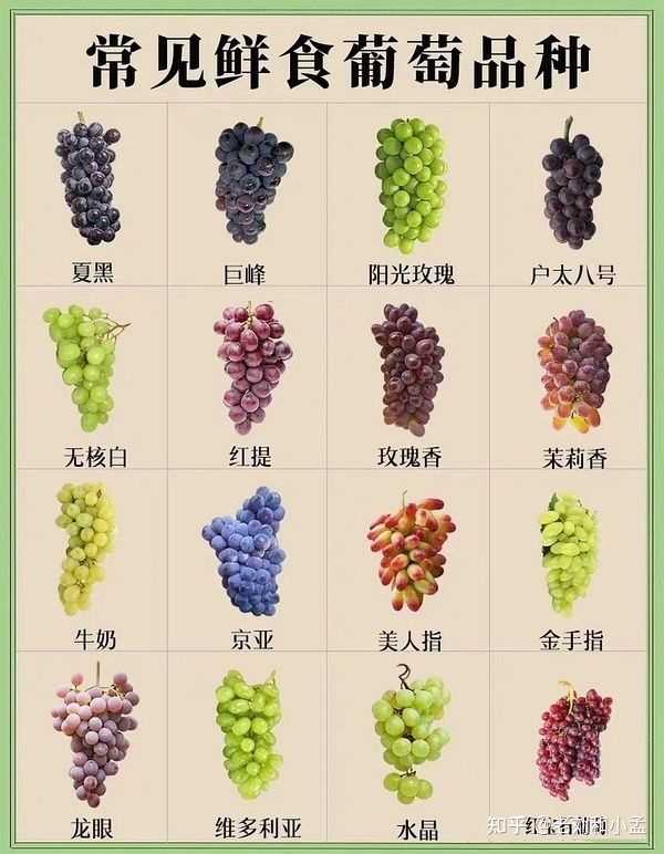 芒果是富硒水果吗(芒果水果富硒是什么东西)-硒宝网