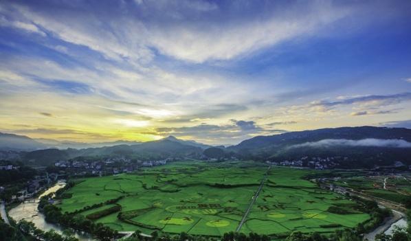 有哪些水果是富硒(富硒水果一览表)-硒宝网