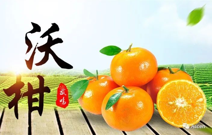 富硒水果交易市?。ǜ晃勘曜迹?硒宝网