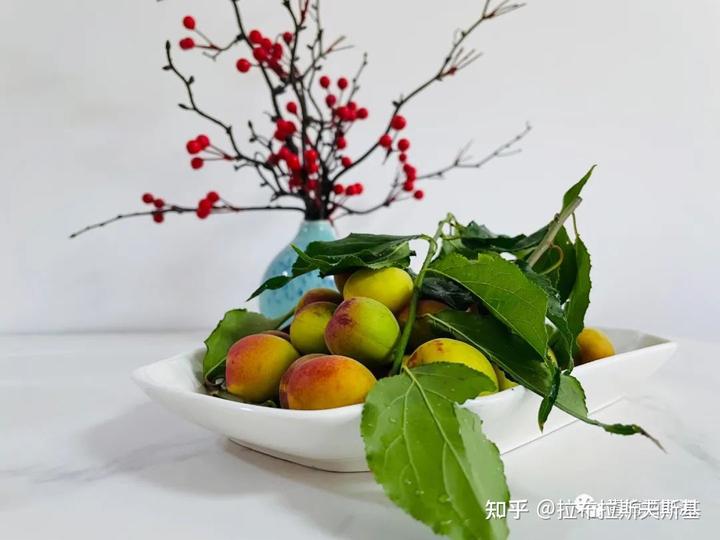 哪些水果是富硒的(富硒水果的国家标准是多少)-硒宝网