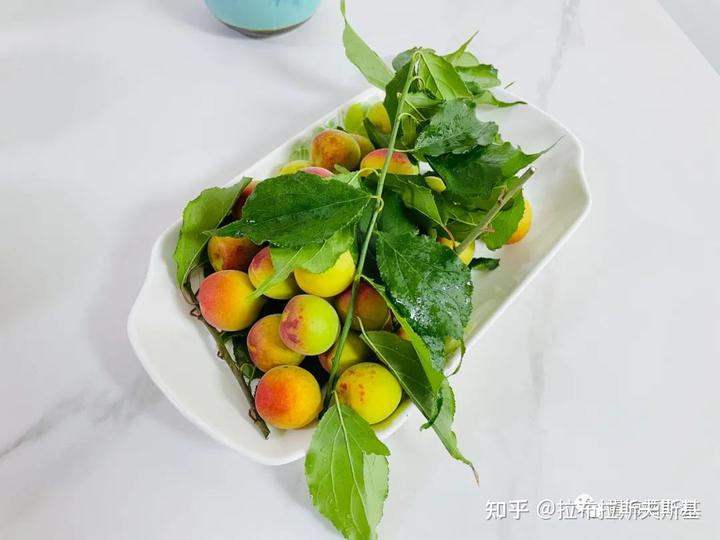 哪些水果是富硒的(富硒水果的国家标准是多少)-硒宝网