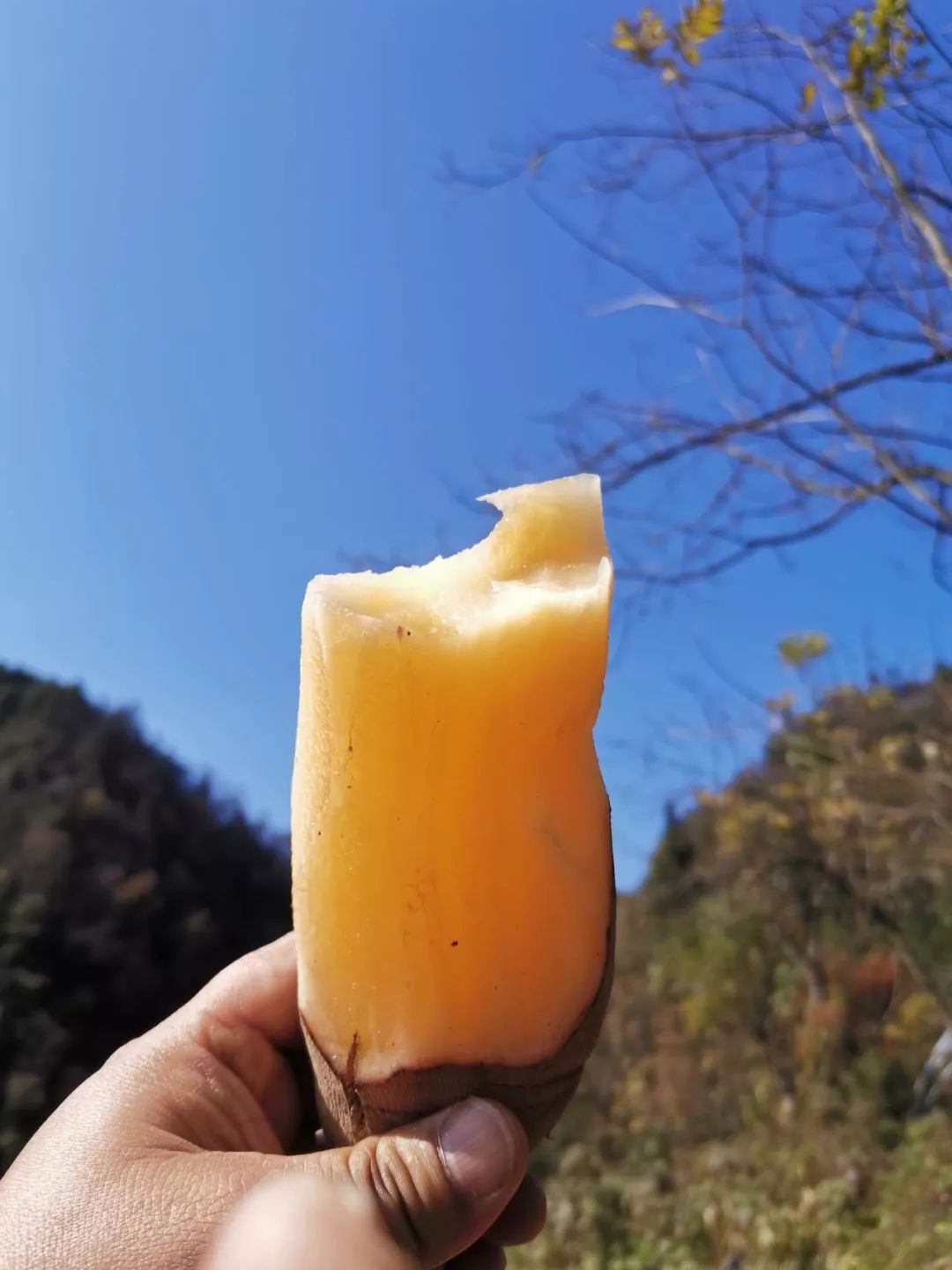 富硒水果能减肥吗(减肥的人水果能吃吗)-硒宝网