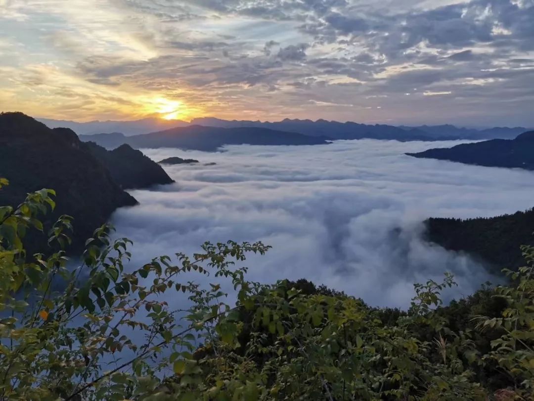 富硒水果能减肥吗(减肥的人水果能吃吗)-硒宝网