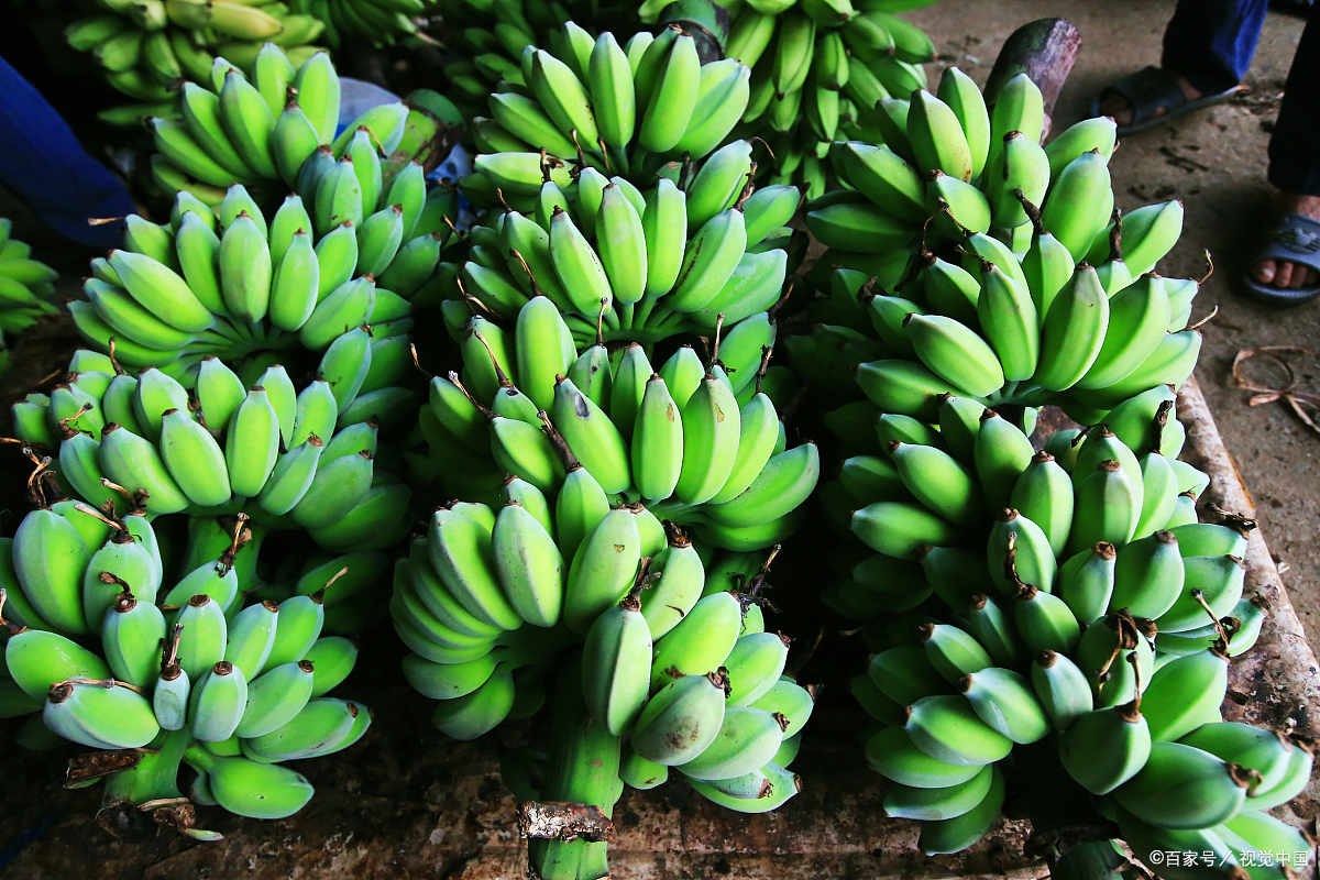 哪些水果是富硒果(水果果富硒是什么意思)-硒宝网