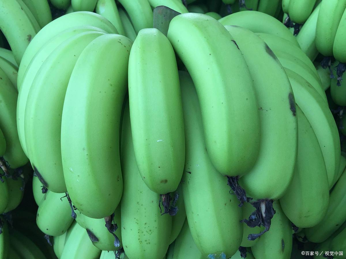 哪些水果是富硒果(水果果富硒是什么意思)-硒宝网