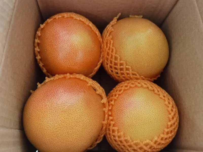 富硒水果能减肥吗(减肥可以吃富士苹果吗)-硒宝网