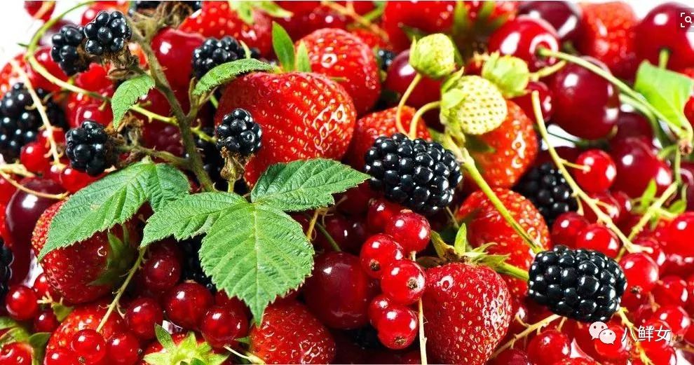 富硒水果有未来么(富硒水果的国家标准是多少)-硒宝网