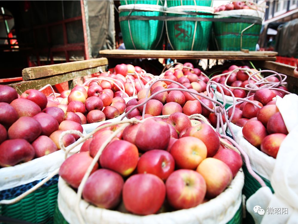 富硒水果树苗价格(水果树苗价格富硒多少)-硒宝网