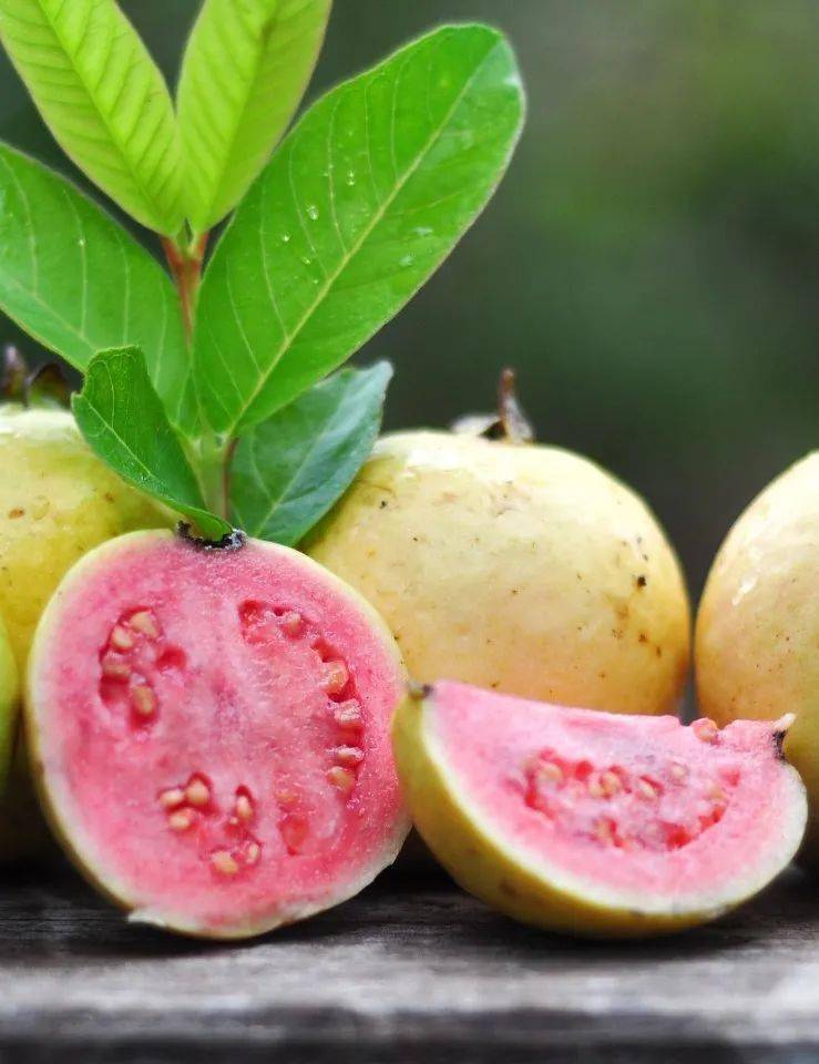 富硒水果名字大全（水果大全名字100种）-硒宝网