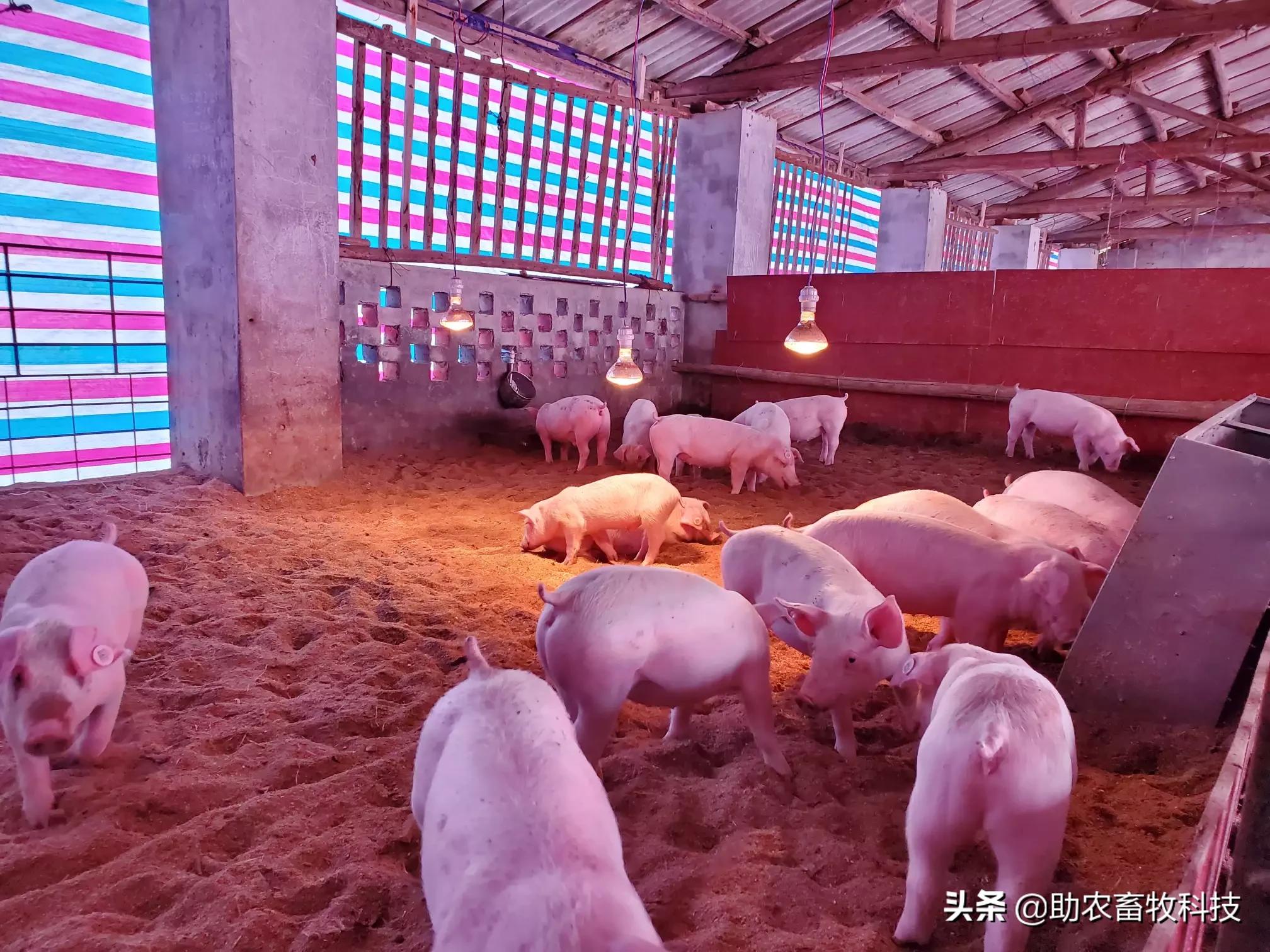 富硒高端水果基地（富硒水果硒含量标准）-硒宝网