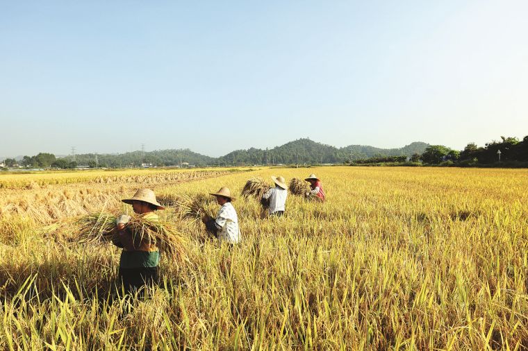 富硒高端水果基地(富硒果蔬)-硒宝网