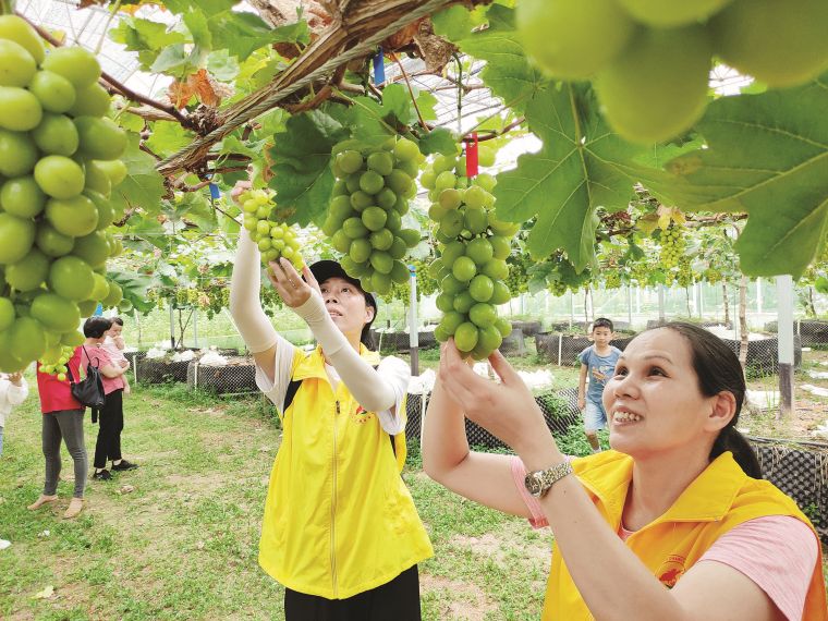 富硒高端水果基地(富硒果蔬)-硒宝网