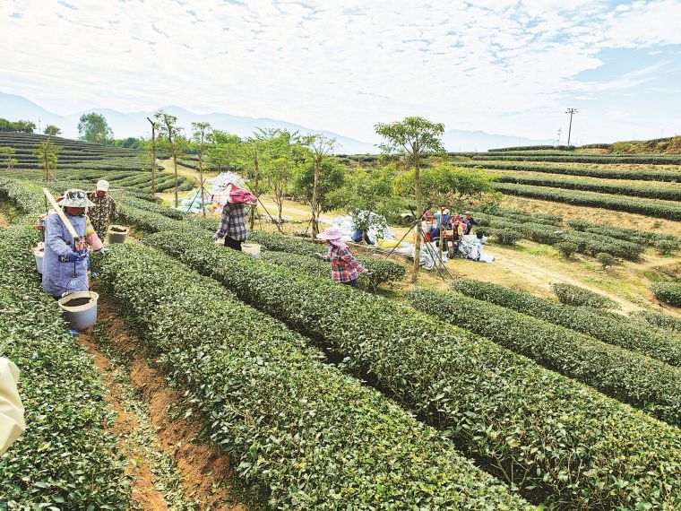 富硒高端水果基地(富硒果蔬)-硒宝网