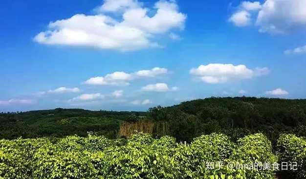 哪些水果是富硒果（富硒水果一览表）-硒宝网