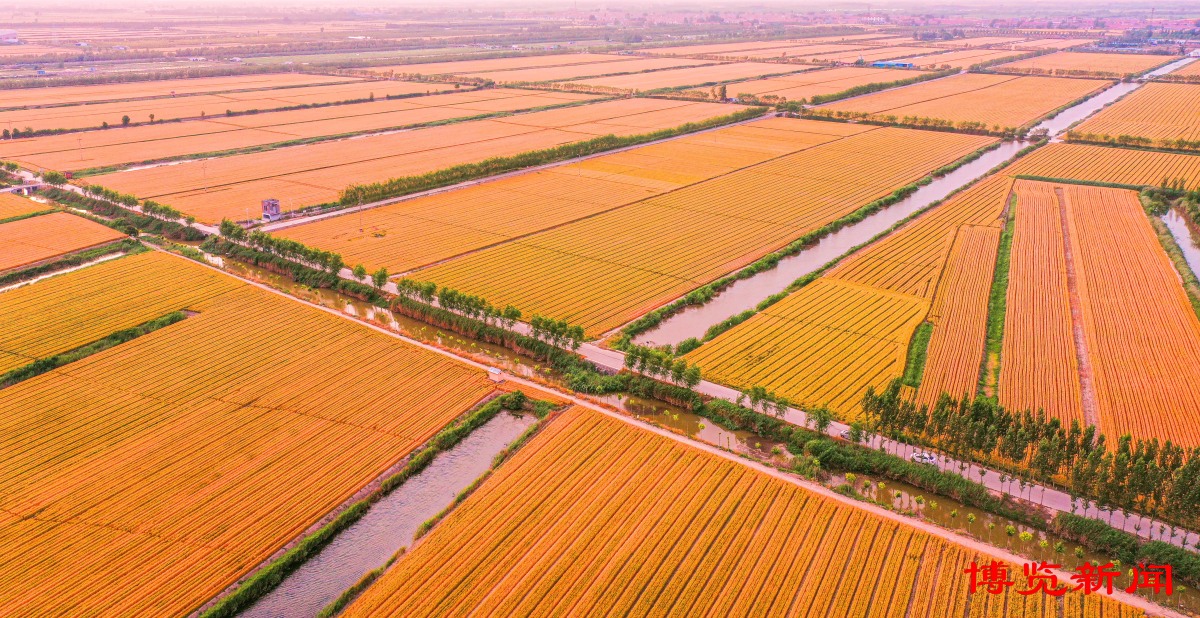 临淄富硒水果价格(淄川富硒采摘园)-硒宝网
