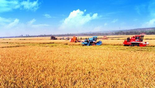 临淄富硒水果价格(淄川富硒采摘园)-硒宝网