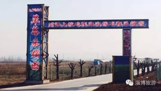 周村富硒水果采摘(淄川富硒采摘园)-硒宝网