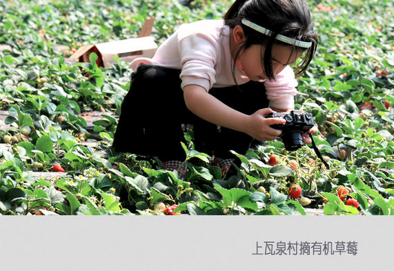 周村富硒水果采摘(淄川富硒采摘园)-硒宝网