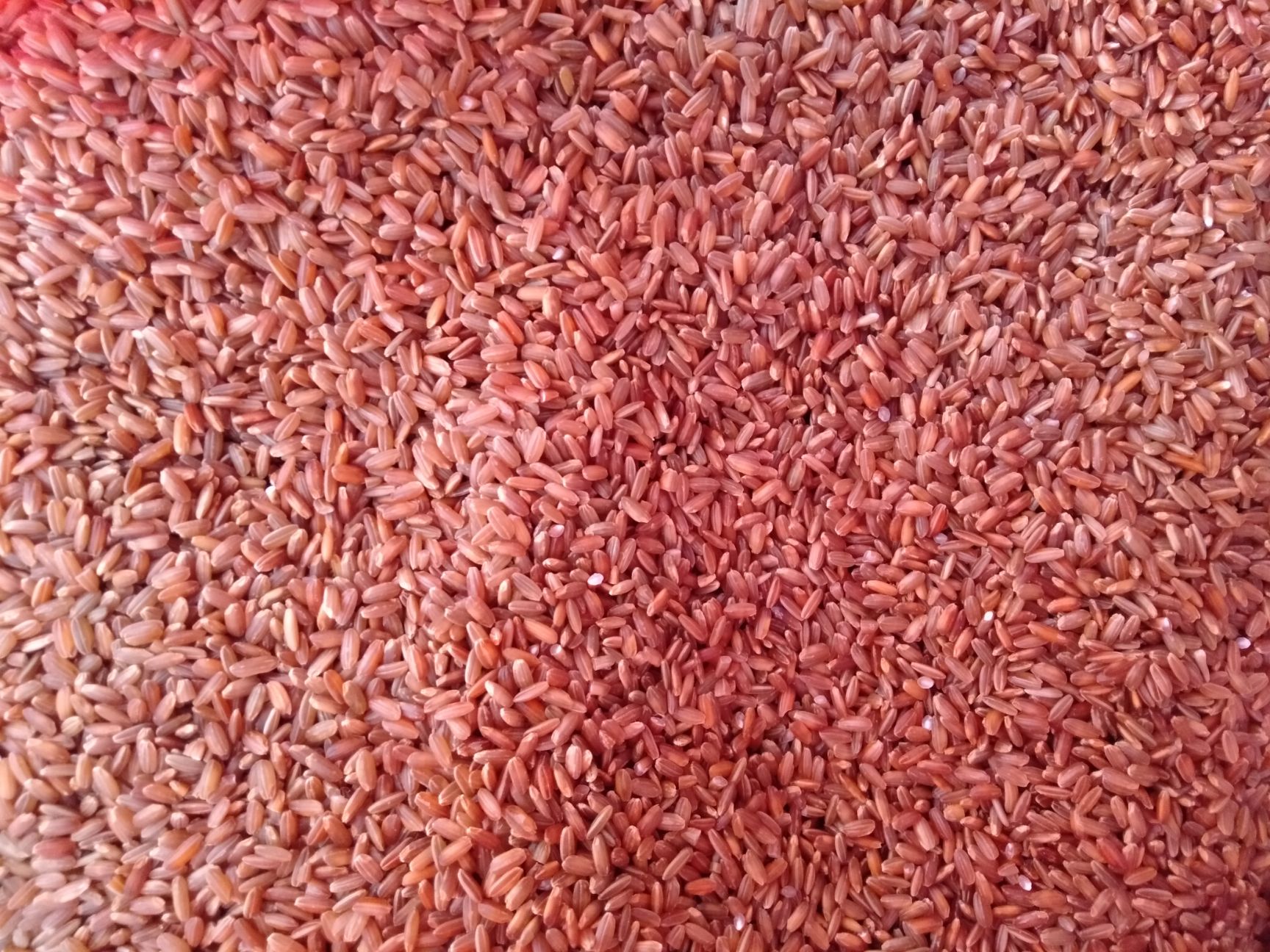 水果富硒国家标准（富硒水果的国家标准是多少）-硒宝网