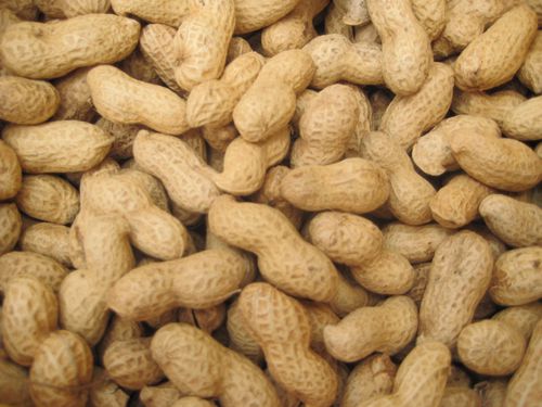 富硒无油水果酵素(水果酵素油富硒无糖能吃吗)-硒宝网