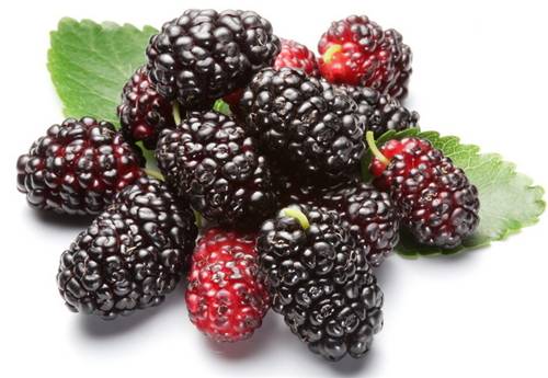 如何种出富硒水果(富硒水果种植技术)-硒宝网