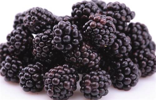 如何种出富硒水果(富硒水果种植技术)-硒宝网