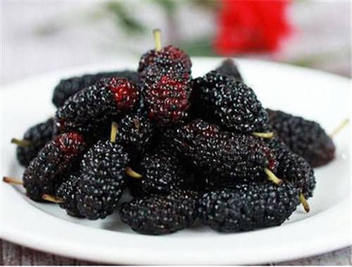 如何种出富硒水果(富硒水果种植技术)-硒宝网