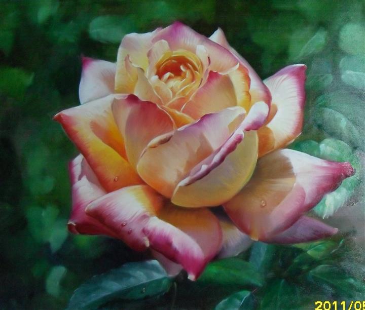 富硒水果苗木销售(水果苗木销售富硒农产品)-硒宝网