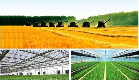 四川富硒水果种植(四川富硒地区)-硒宝网